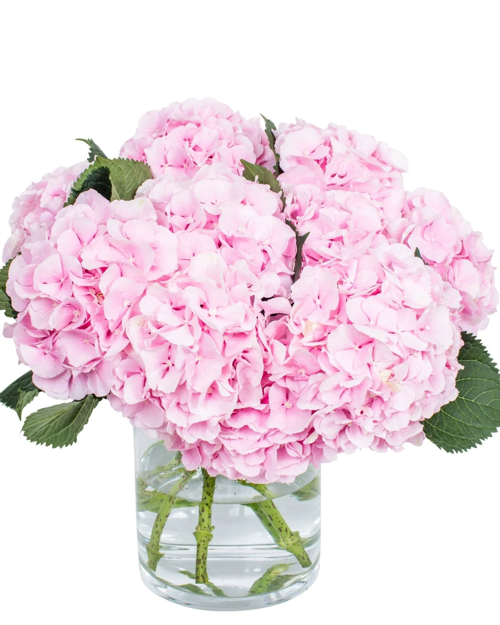 Good Luck Flowers
