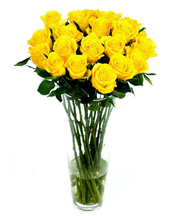 Roses - Long Stemmed - Image 7