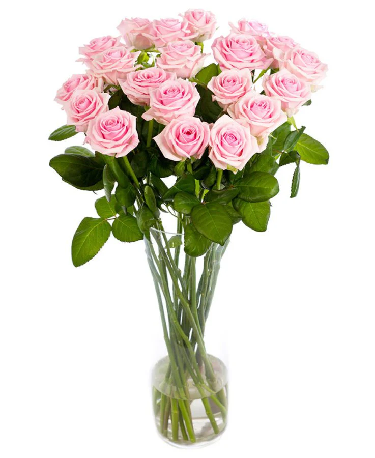 Subscription Flowers - Roses - Image 3