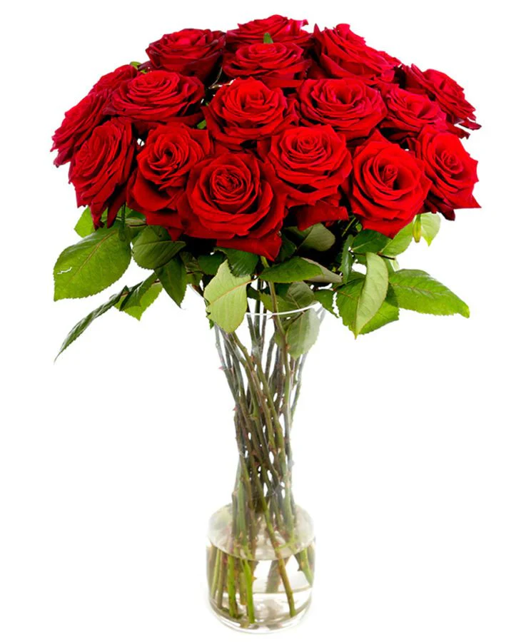 Subscription Flowers - Roses - Image 4