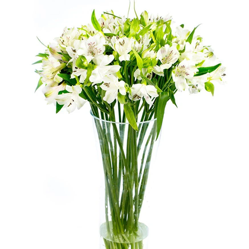 Subscription Flowers - Alstroemeria - Image 4