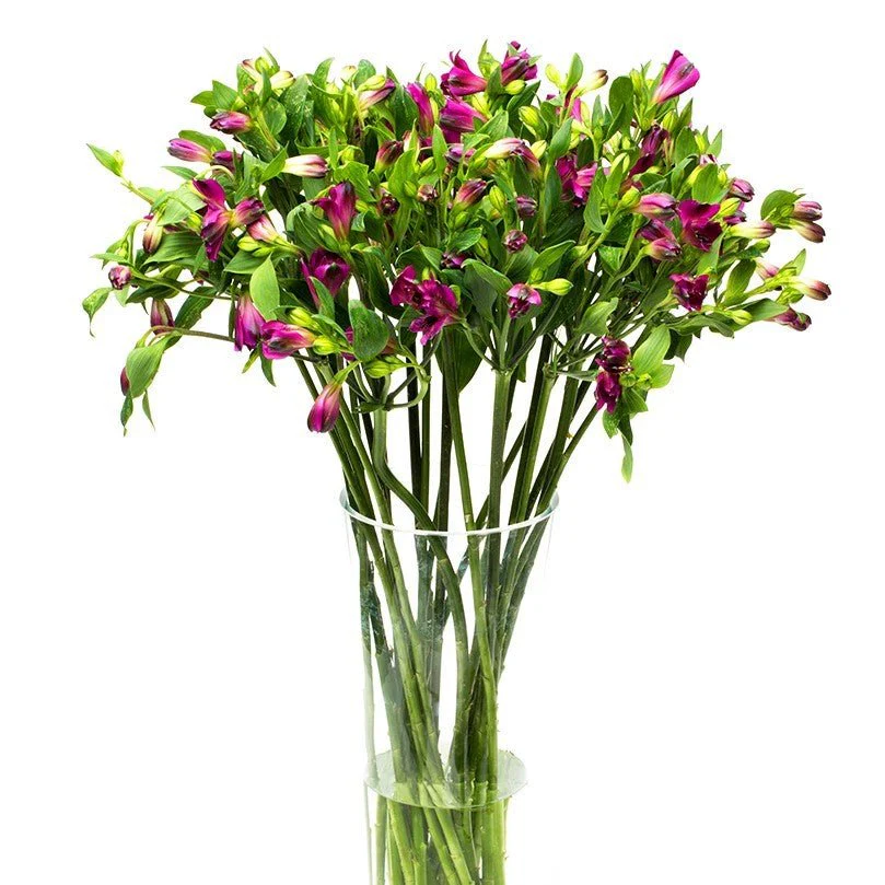 Subscription Flowers - Alstroemeria - Image 6