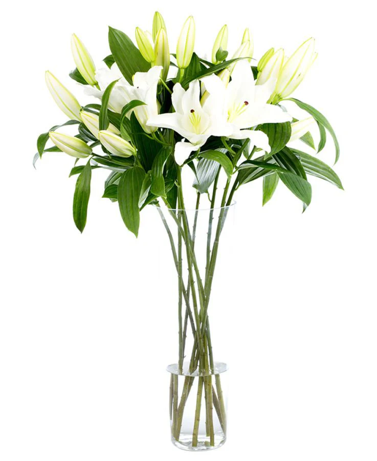 Subscription Flowers - Lilies - Oriental - Image 3